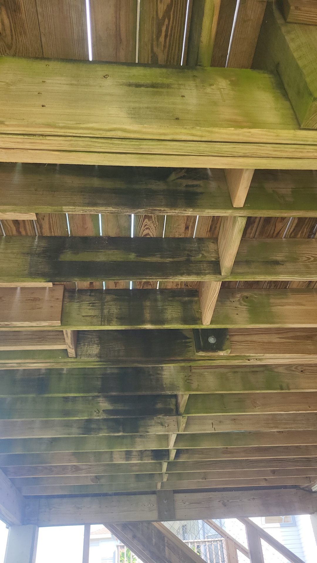 Pressure Washing & Soft Washing House in La Marque, TX